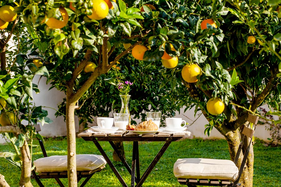 Casale Caterina Resort, Elba