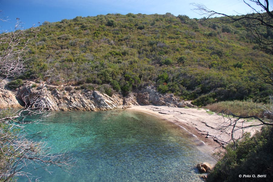 Isola d'Elba