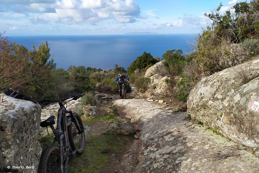 Isola d'Elba