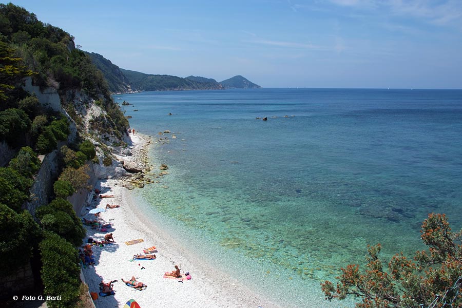 Spiaggia di Capo Bianco, Elba