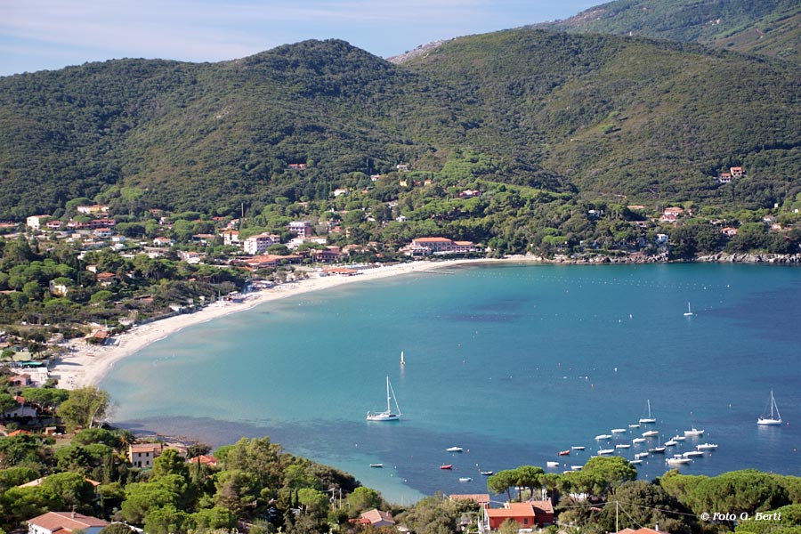 Spiaggia di Procchio, Elba