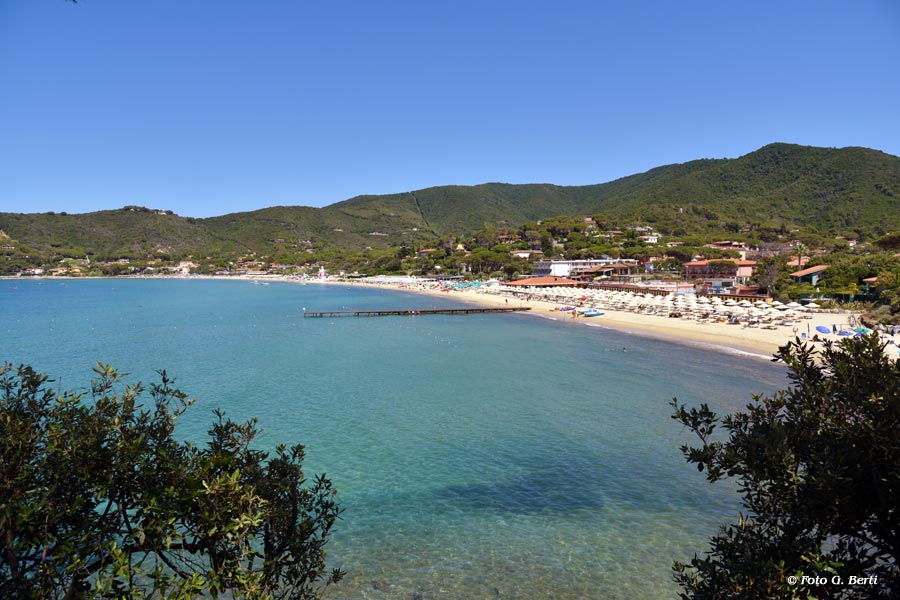 Spiaggia di Procchio, Elba