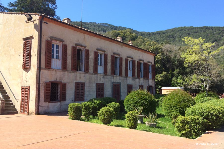 Isola d'Elba
