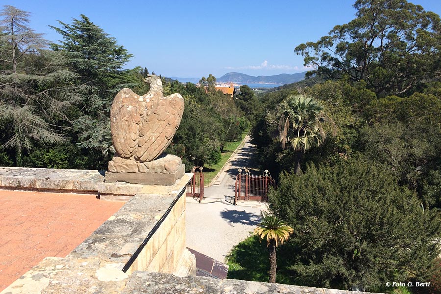 Isola d'Elba